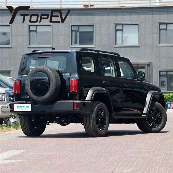 Бензиновый автомобиль 2024 GWM Бак 300 Бензиновый автомобиль 2024 GWM Бак 300